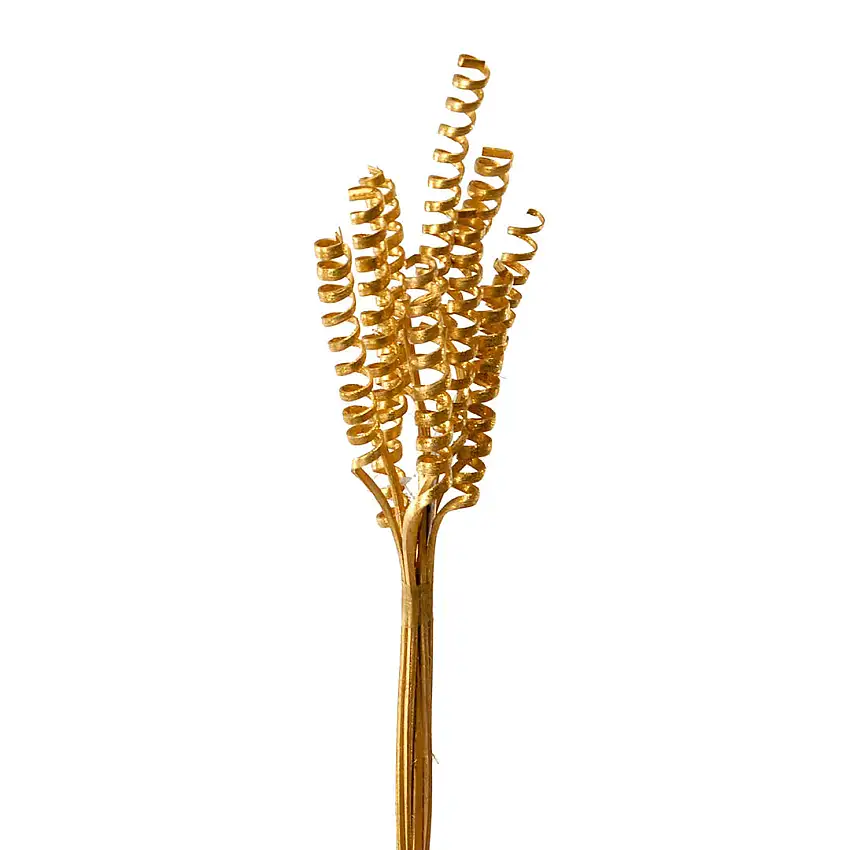 4 Pezzi • Giunchi cone naturali 40 pezzi • 58 cm