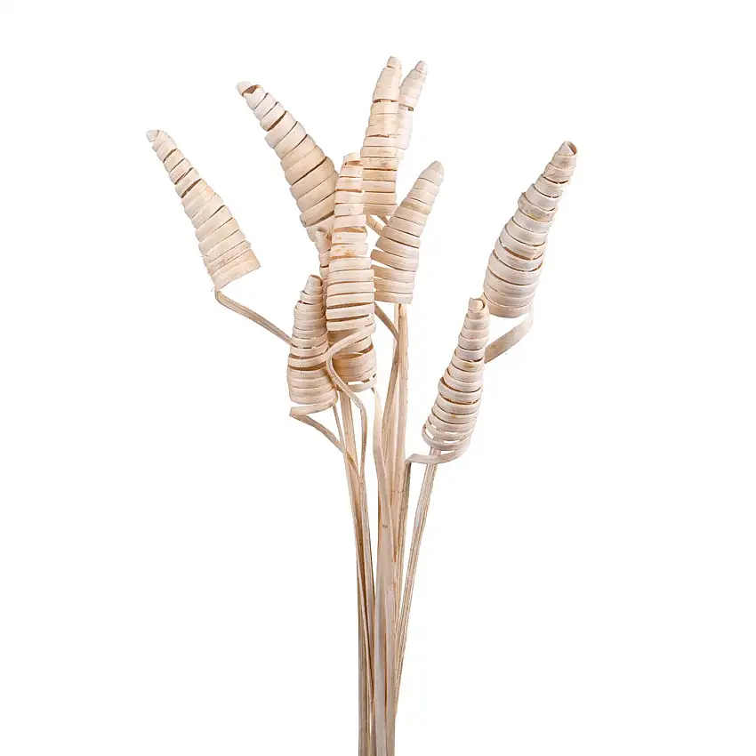 6 Pezzi • Giunchi cone bianchi con glitter 50 pezzi • 55 cm