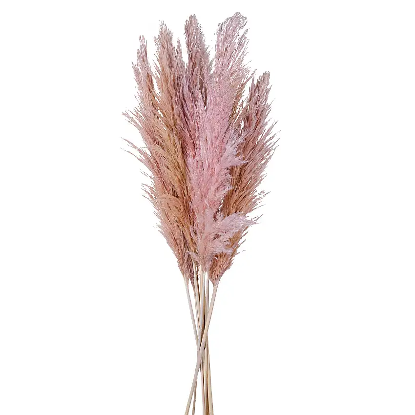 3 Pezzi  • Pampas  naturale • 110 • 180 cm