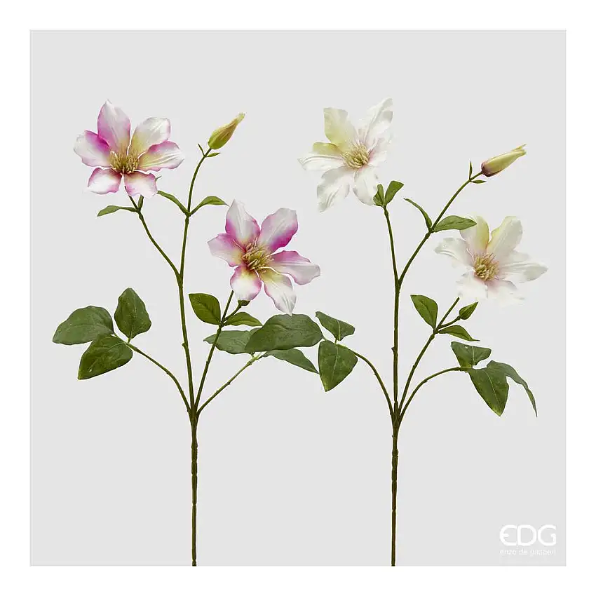 EDG - Clematis Ramo X2 Con Foglie Con Bocciolo H.74 [Bianco]