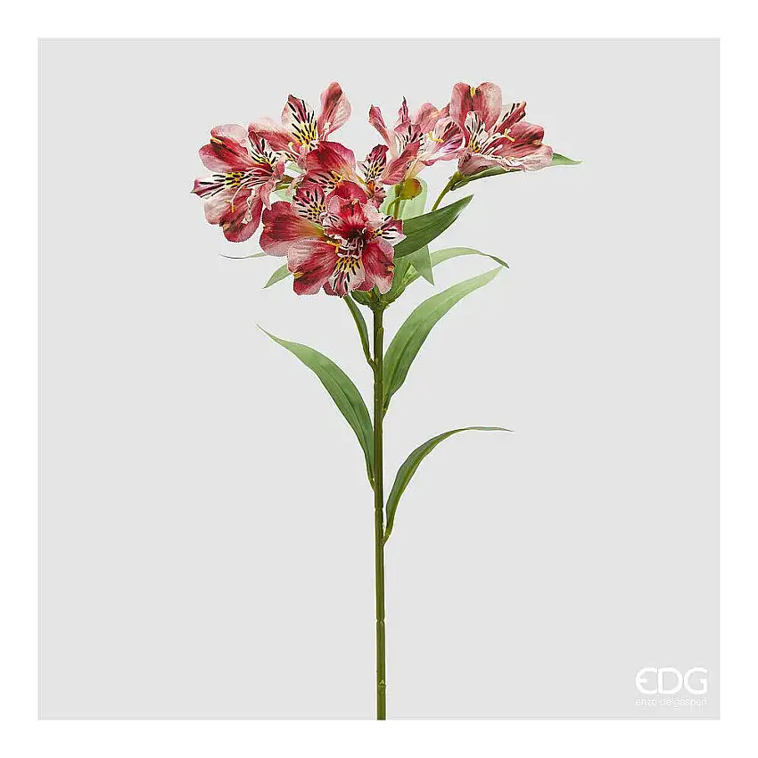 EDG - Alstroemeria Ramo X7 Con Foglie H.80 Coral