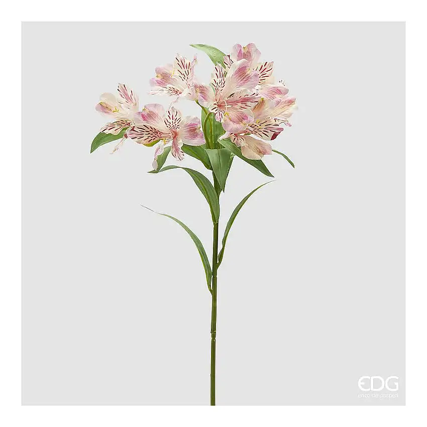 EDG - Alstroemeria Ramo X7 Con Foglie H.80 Light Pink