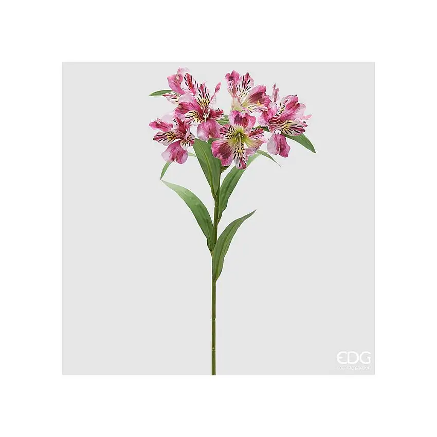 EDG - Alstroemeria Ramo X7 Con Foglie H.80 Fuchsia