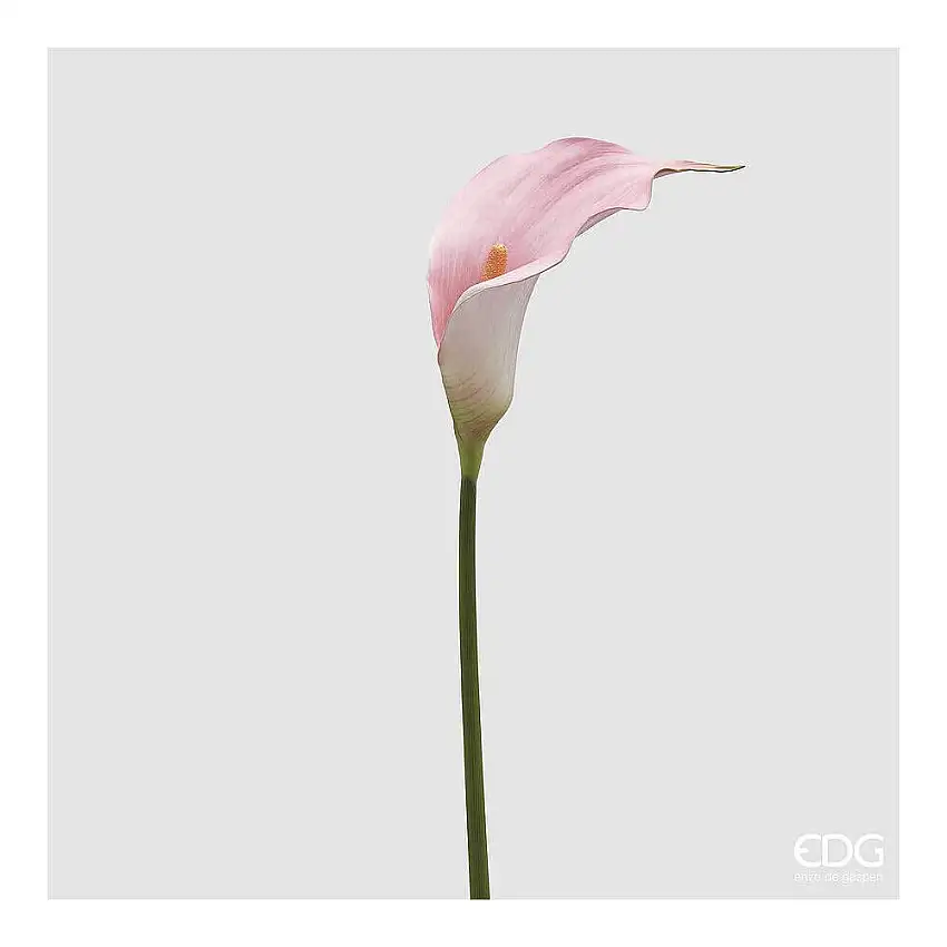 EDG - Calla Ramo H.75 Pink