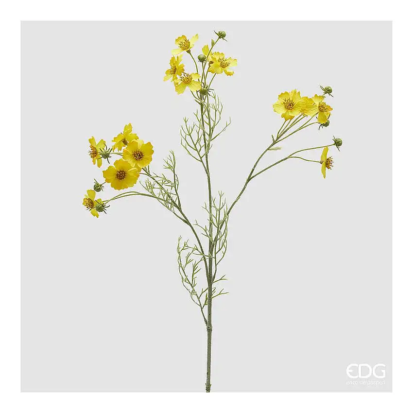 EDG - Cosmos Ramo Con Foglie H.65 Yellow