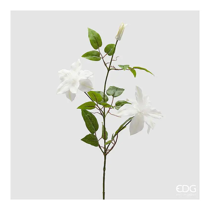 EDG - Clematis Ramo Con Bocciolo H.85 White
