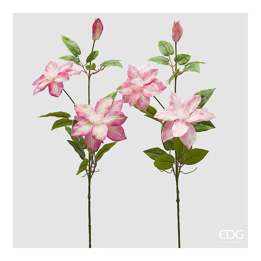 EDG - Clematis Ramo Con Bocciolo H.85 Pink