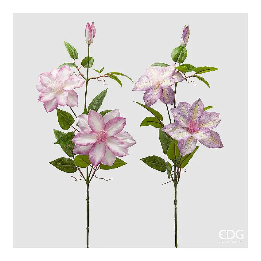 EDG - Clematis Ramo Con Bocciolo H.85 Mauve
