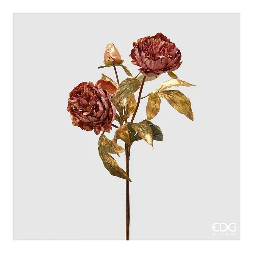 EDG - Peonia Gold Antique Pink Ramo X3 H60 Cm