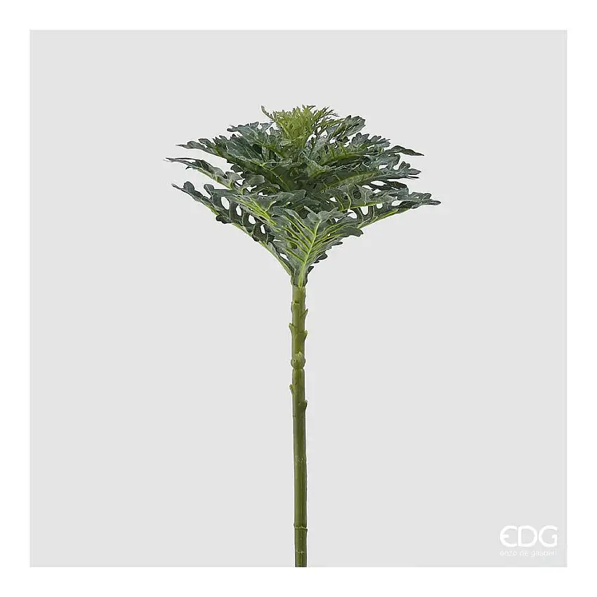 EDG - Brassica Real Ramo H48 Green