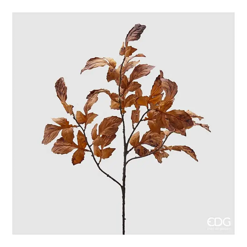 EDG - Acero Olis Ramo X4 H85 Hazelnut
