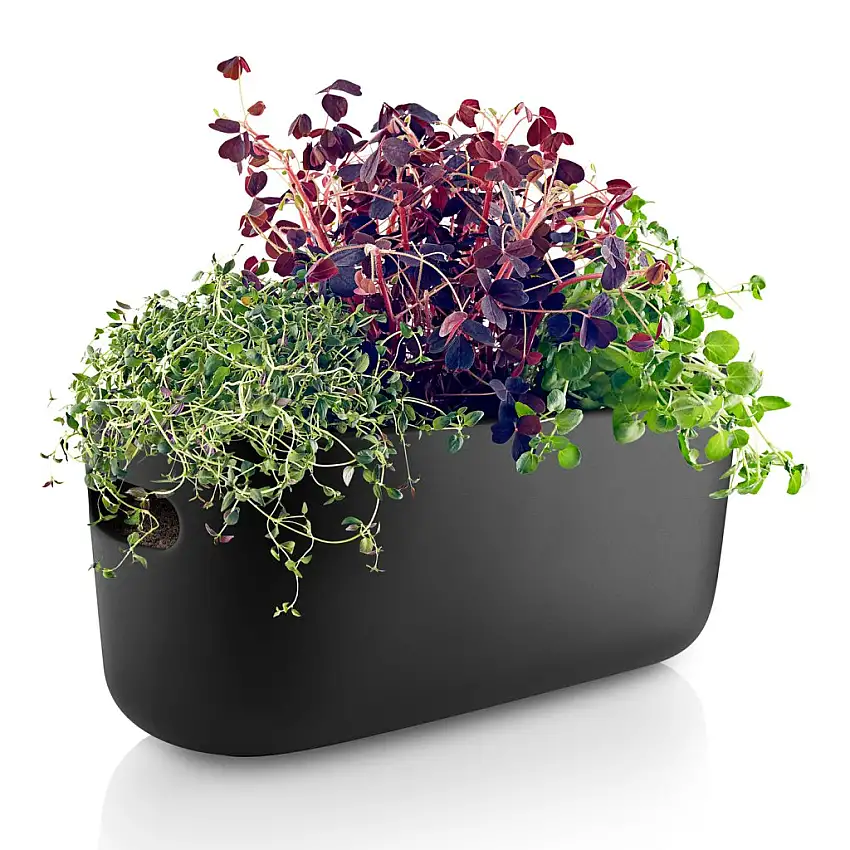 Vaso autoirrigante 31 cm, nero, ceramica, Eva Solo