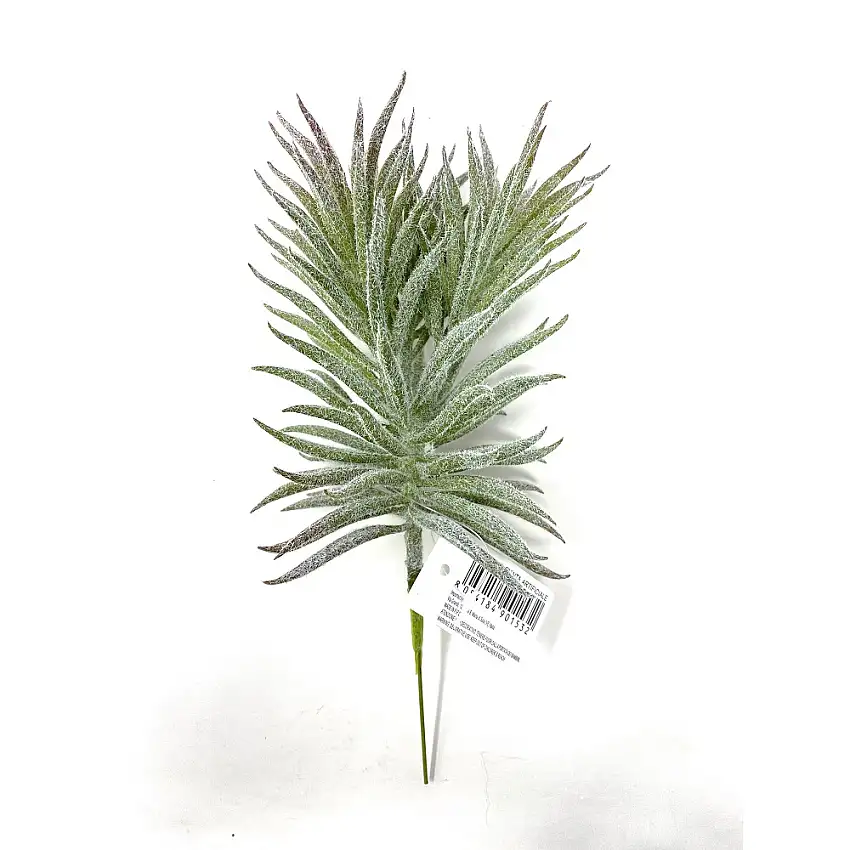 RAMO SUCCULENT PICK CM 23H