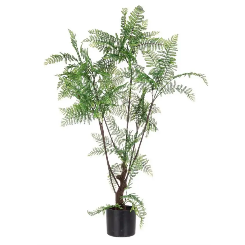 PIANTA FELCE CON VASO CM 108 H