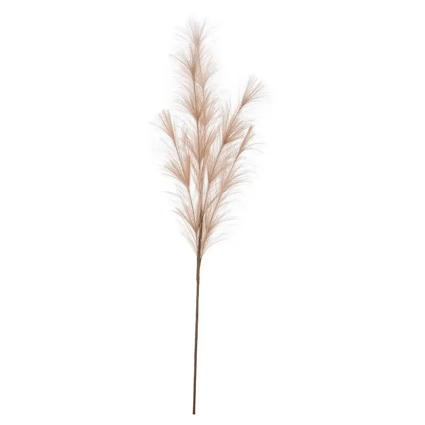 RAMO PAMPAS CM 100H DIVERSI COLORI