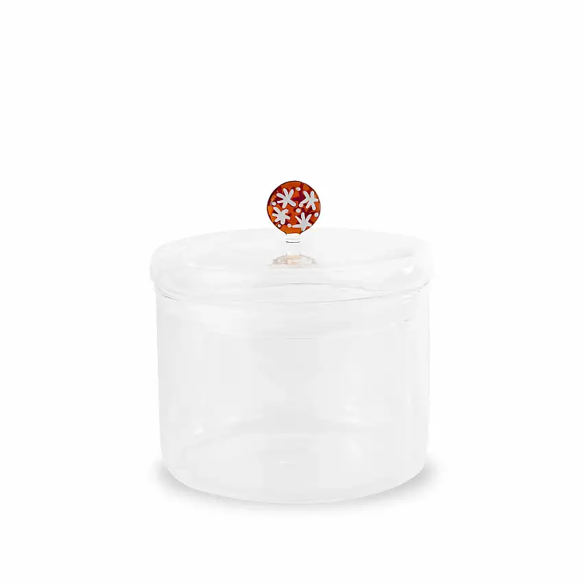 WD Lifestyle Barattolo In Vetro Borosilicato Con Decoro