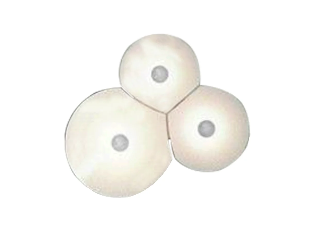Luceplan Bulbullia D95A3D Lampada da Parete