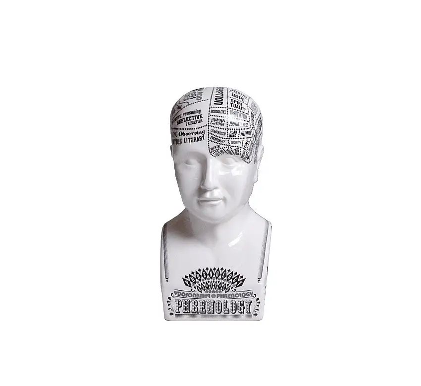 Seletti Busto Frenologico