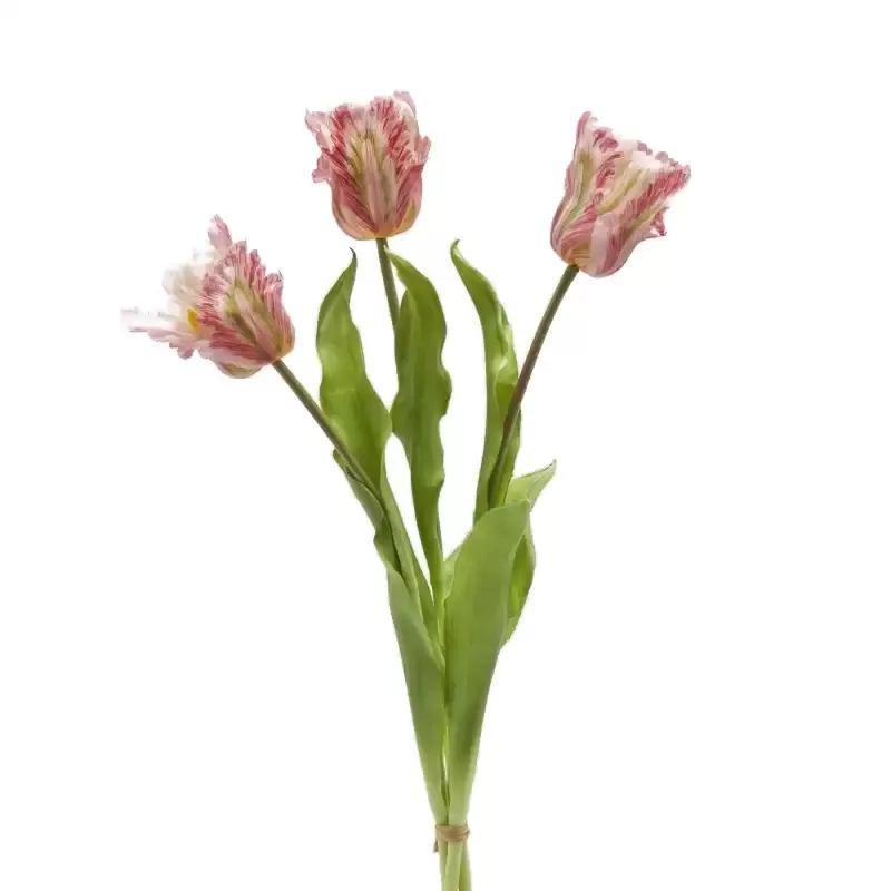 EDG Enzo De Gasperi Bouquet di Tulipani Pappagallo 3 pz H51 Verde e Rosa