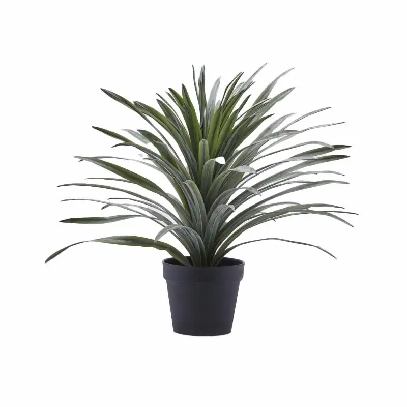 BROMELIA C/VASO H58