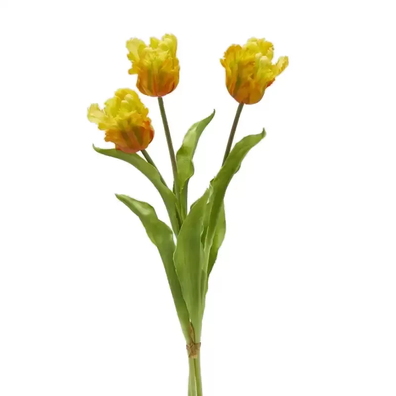 Enzo De Gasperi Bouquet di Tulipani Pappagallo 3 pz H51 Giallo e Verde