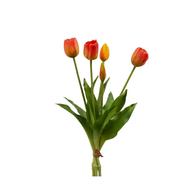 TULIPANO GOMM OLIS MZ5PZ H40 ORANGE