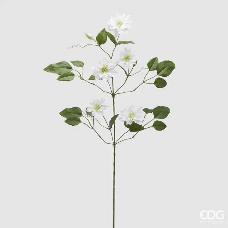 EDG Enzo De Gasperi ramo artificiale Clematis bianca H105cm