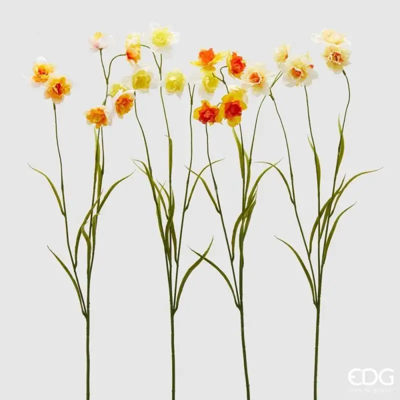 EDG Enzo De Gasperi ramo narciso Rex giallo e bianco H80cm