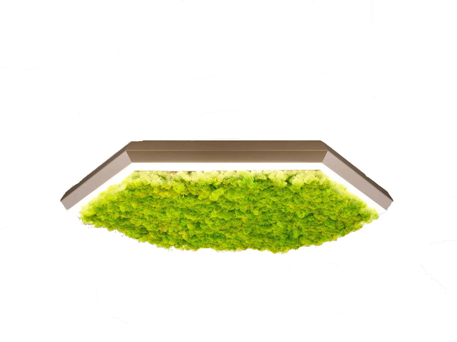 Olev Lighting Exagon Silence Green Kit Fonoassorbente