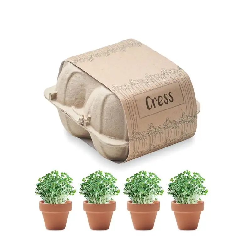 Kit di coltivazione in cartone Cress