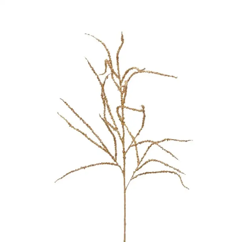 Ramo Amaranthus EDG Enzo De Gasperi H81