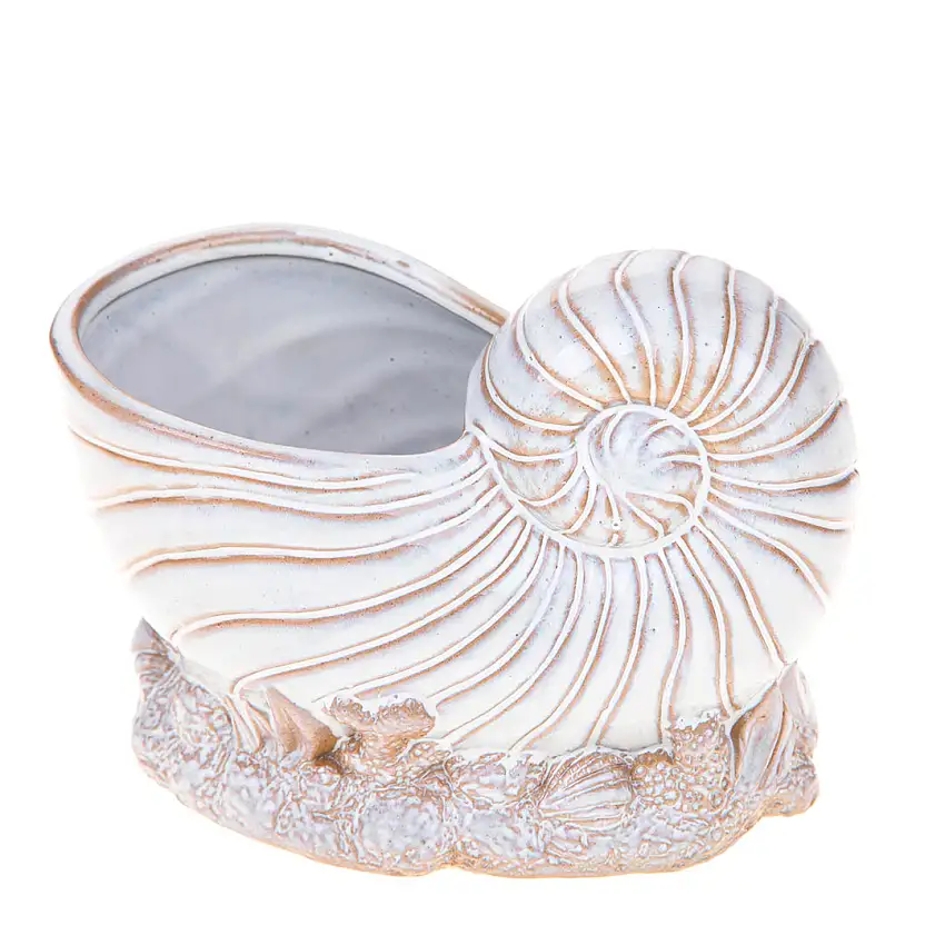 Vaso conchiglia con base • 14 cm