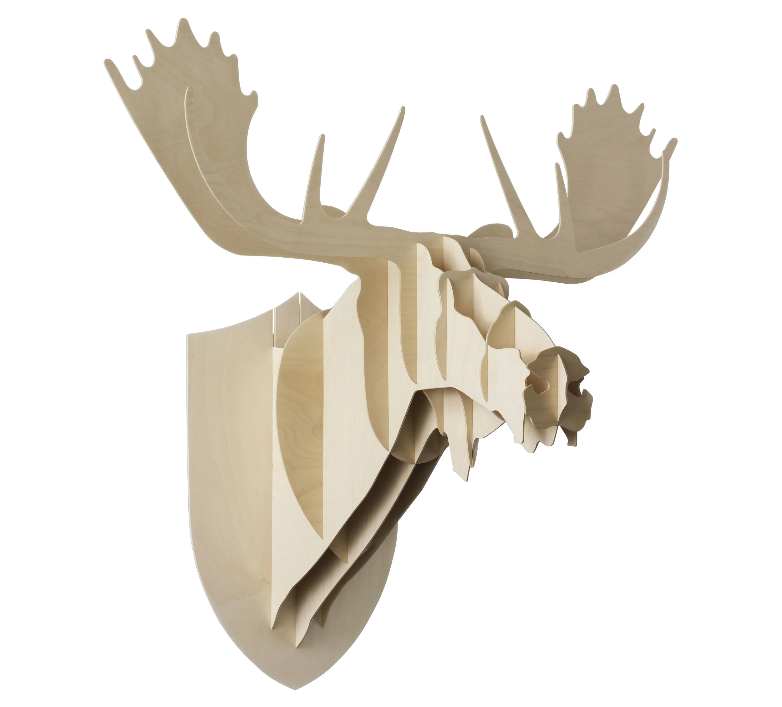 Moustache Elan Trophee Decorazione